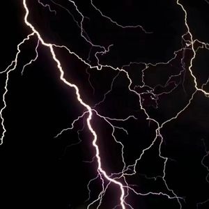 免费女同毛片在线观看
