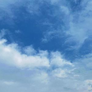 免费女同毛片在线观看
