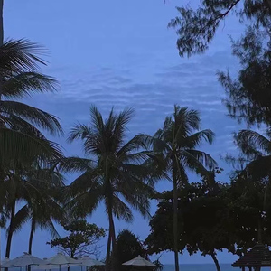 免费女同毛片在线观看
