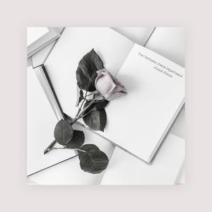 免费女同毛片在线观看
